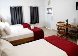 The Paradise Inn 3
