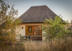 Mbizi Bush Lodge 5