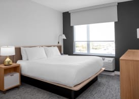 TownePlace Suites by Marriott Tampa Clearwater 3
