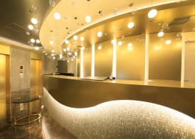 Quintessa Hotel Tokyo Ginza 4