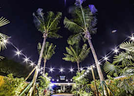 Siesta Key Palms Resort 3