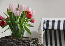 Pension Frisia 5