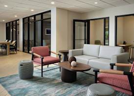 Sheraton Tampa Brandon Hotel 4