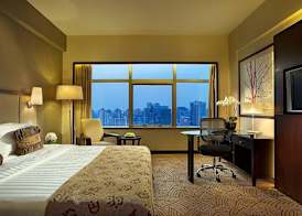 Celebrity International Grand Hotel 5