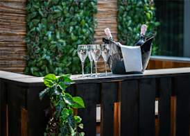 Ibis Styles Linz 2