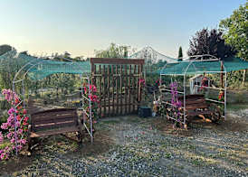 Fattoria Palazzeta - Pet & Family Friendly 3
