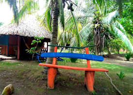 Eco Hotel Las Palmeras 4