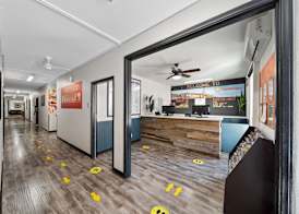 Samesun Hollywood Hotel & Hostel 3