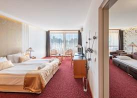 Club Tihany Resort 5