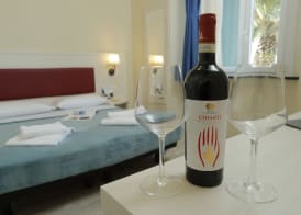 Hotel Il Mulinaccio 2
