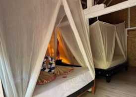 Buena Vibra Bungalows 4