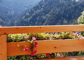 Dolomiti Lodge Villa Gaia 4