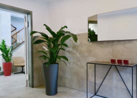 Zurich Furnished Homes 2