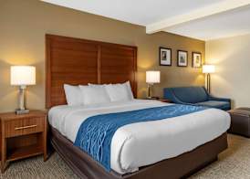 Comfort Inn & Suites Texas Hill Country 5