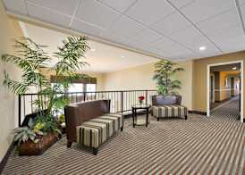 Best Western Plus Cutting Horse Inn & Suites 3