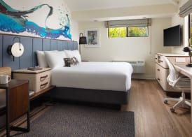 Hotel Indigo SAN DIEGO DEL MAR by IHG 4