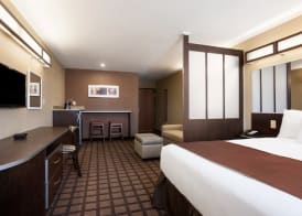 Microtel Inn & Suites Pleasanton 5