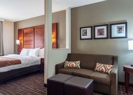 Comfort Suites NW Dallas Near Love Field 5