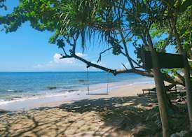 Jungle Hill Beach Bungalow 4