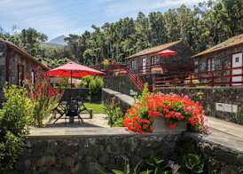 Aldeia das Adegas 4