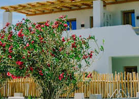 Opalia Suites 5