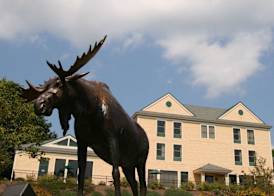 Hampton Inn Freeport/Brunswick 3