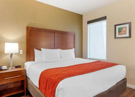 Comfort Inn & Suites Near Ontario Airport 4