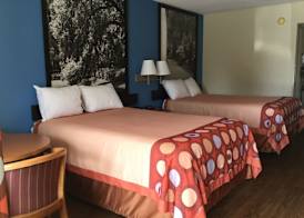 Super 8 by Wyndham Walterboro 5