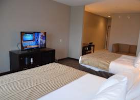 Holiday Inn Express CHEEKTOWAGA NORTH EAST by IHG 2
