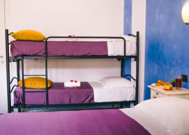 Diana Inn Accomodations 5