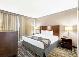 Best Western Yacht Harbor Hotel 4