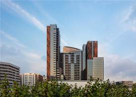 DoubleTree by Hilton Dubai M Square Hotel & Residences 2