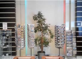 Papillo Hotels & Resorts Roma 2