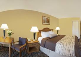 Best Western Clifton Park 5