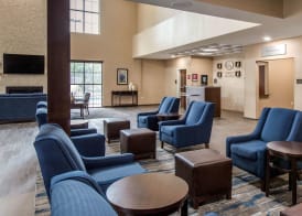 Comfort Suites - South Austin 5