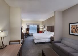 Holiday Inn Express & Suites AUSTIN NW - FOUR POINTS by IHG 3
