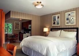 7 Springs Inn & Suites 5