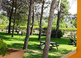 Sole del Mediterraneo 5