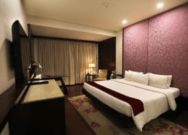 Hotel Royal Orchid Jaipur, Tonk Road 4