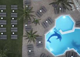 Aquarium View Hotel Adults Only 21 plus 3