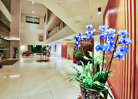 Quality Hotel & Suítes São Salvador 3