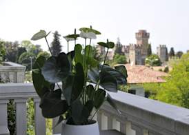 Palazzo della Scala Hotel - Luxury Suites & Spa 3