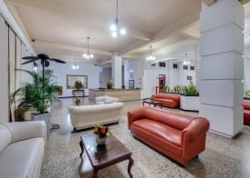 Hotel Dorado Plaza Centro Histórico 3