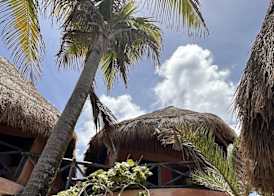 La Conchita Tulum 5