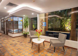 Hotel Margarita Dynasty 4