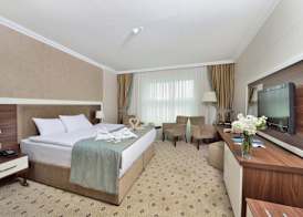 The Sign Kocaeli Thermal Spa Hotel &Convention Center 4