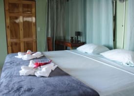 Motmot, Double Large Room With air Conditioning and sea View 3