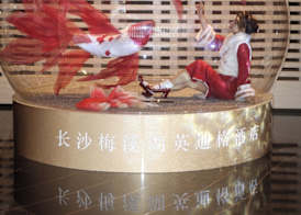Hotel Indigo Changsha Meixi Lake 5