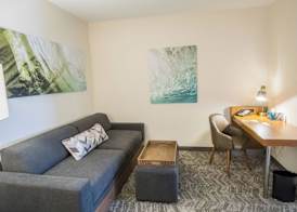 Springhill Suites by Marriott Winston-Salem Hanes Mall 4