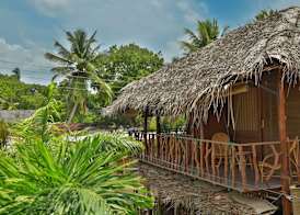 Coco Palm Villa and Cabanas 5